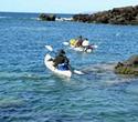 Kayak and Snorkel: Maui West Shore