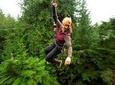 Ketchikan Shore Excursion: Rainforest Canopy Ropes and Zipline Adventure Park