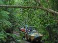 Skip the Line: Kuranda Rainforestation Nature Park Ticket