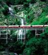 Kuranda Scenic Railway Day Trip from Port Douglas