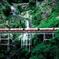 Kuranda Scenic Railway Day Trip from Port Douglas