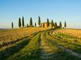 Livorno Shore Excursion: Chianti and Tuscany Countryside Private Wine Tour