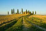 Livorno Shore Excursion: Chianti and Tuscany Countryside Private Wine Tour