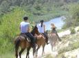 Mallorca Evening Tour: Horseback Riding, Dinner and Dance