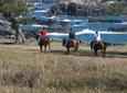 Maui Horseback-Riding Tour