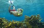 Nassau Shore Excursion: Bahamas Snorkel Adventure