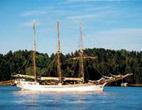3-Hour Norwegian Evening Cruise Aboard a Wooden Sailing Boat on the Oslo Fjord