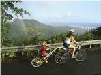 Honolulu Downhill Bike Tour with Optional Hike