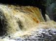 Presidente Figueiredo Waterfalls Day Trip from Manaus