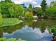 Private Tour: Gardens of Vancouver