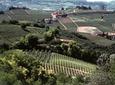 Private Tour: Piedmont Wine Tasting of the Barolo Region
