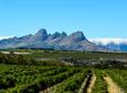 Full-day Winelands Explore Private Tour of Stellenbosch, Franschhoek and Paarl