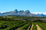 Full-day Winelands Explore Private Tour of Stellenbosch, Franschhoek and Paarl