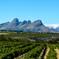 Full-day Winelands Explore Private Tour of Stellenbosch, Franschhoek and Paarl