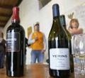 Private Tour: Yarra Valley Wineries with Wine Tastings