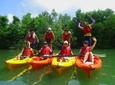 Mangrove Kayaking Adventure
