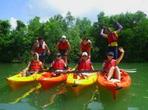 Mangrove Kayaking Adventure