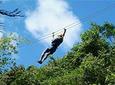 Rainforest Canopy Adventure from Vieux Fort or North Island, St Lucia