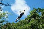 Rainforest Canopy Adventure from Vieux Fort or North Island, St Lucia