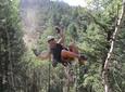 Rocky Mountain Zipline Adventure