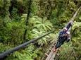 Ziplining Forest Adventure - The Original Canopy Tour Rotorua