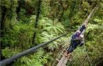 Ziplining Forest Adventure - The Original Canopy Tour Rotorua