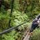 Ziplining Forest Adventure - The Original Canopy Tour Rotorua