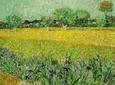 Saint Remy, Les Baux and Pont du Gard Small Group Day Trip