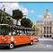 Savannah Hop-On Hop-Off Trolley Tour