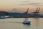 Seattle Harbor Cruise