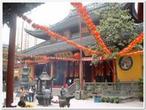 Shanghai Afternoon Sightseeing Tour including Huangpu River Cruise & OTV Tower