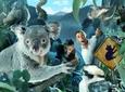 WILD LIFE Sydney Entrance Ticket