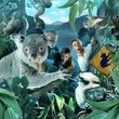 WILD LIFE Sydney Entrance Ticket