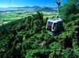 Skyrail Rainforest Cableway Day Trip from Palm Cove