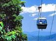 Skyrail Rainforest Cableway Day Trip from Port Douglas