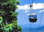 Skyrail Rainforest Cableway Day Trip from Port Douglas