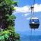 Skyrail Rainforest Cableway Day Trip from Port Douglas