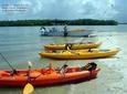 Small Group Boating & Kayaking Guided Eco Tour in Everglades National Park