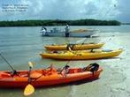 Small Group Boating & Kayaking Guided Eco Tour in Everglades National Park