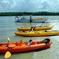 Small Group Boating & Kayaking Guided Eco Tour in Everglades National Park