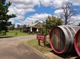 Small-Group Hunter Valley Wine and Cheese Tasting Tour from Sydney