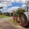 Small-Group Hunter Valley Wine and Cheese Tasting Tour from Sydney