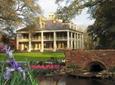Small-Group Louisiana Plantations Tour with Gourmet Lunch from New Orleans