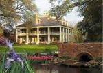 Small-Group Louisiana Plantations Tour with Gourmet Lunch from New Orleans