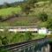 St Kitts Scenic Train Tour (Reconfirm 48hrs)