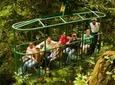 Rainforest Adventures Aerial Tram Tour Saint Lucia