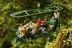 Rainforest Adventures Aerial Tram Tour Saint Lucia