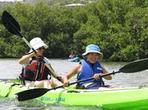 St Thomas Mangrove Lagoon Kayak and Snorkel Tour