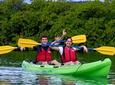 St Thomas Shore Excursion: Mangrove Lagoon Kayak and Snorkel Tour
