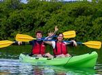 St Thomas Shore Excursion: Mangrove Lagoon Kayak and Snorkel Tour